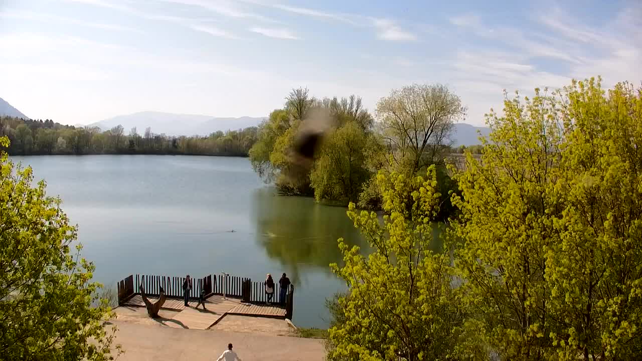 Webcam Ribnik Vrbje – Žalec