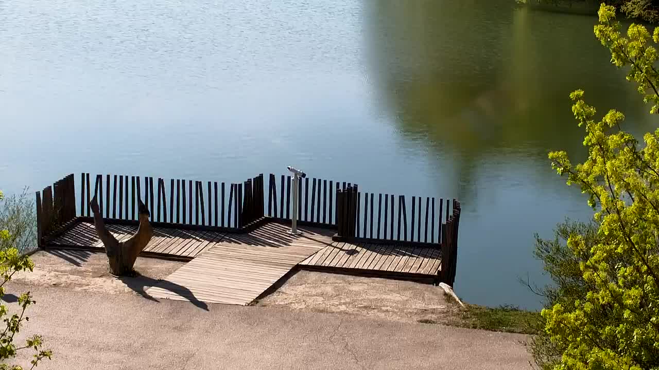 Spletna kamera Ribnik Vrbje – Žalec