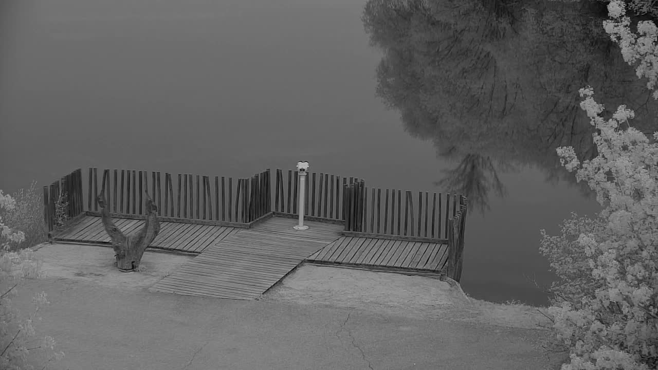 Webcam Ribnik Vrbje – Žalec