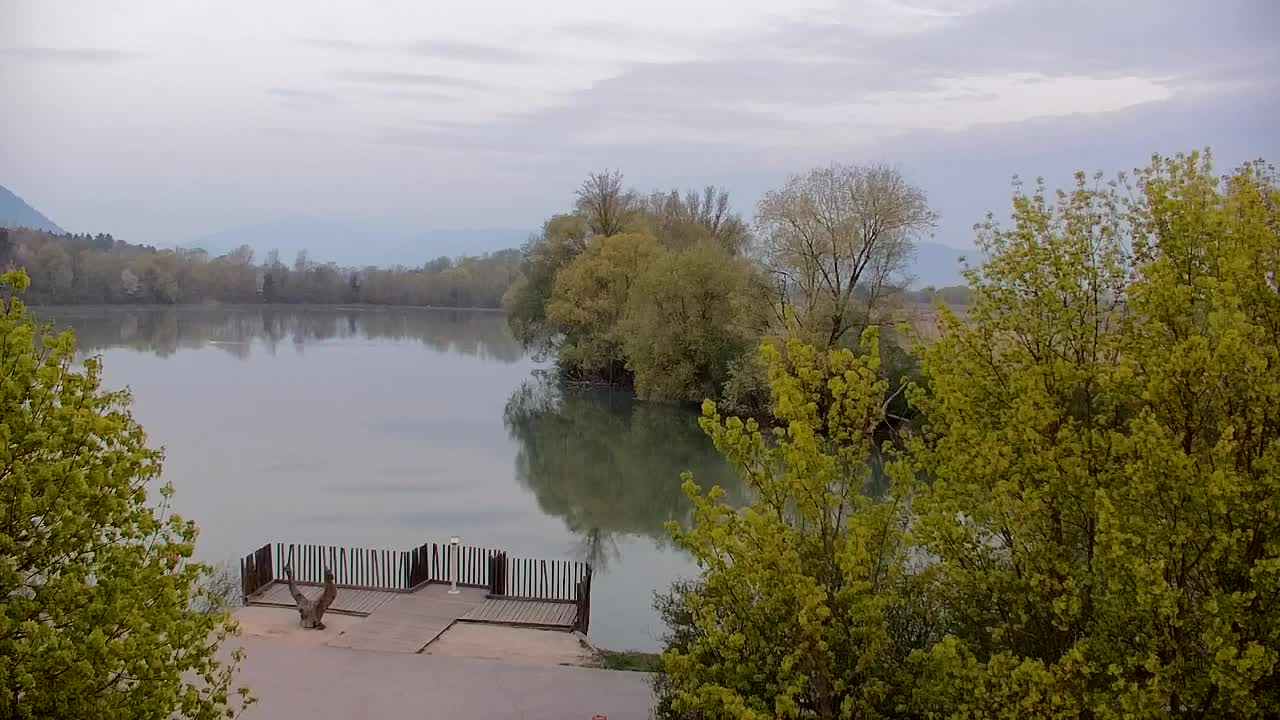 Web kamera Ribnik Vrbje – Žalec