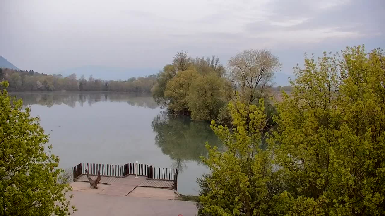 Webcam Ribnik Vrbje – Žalec