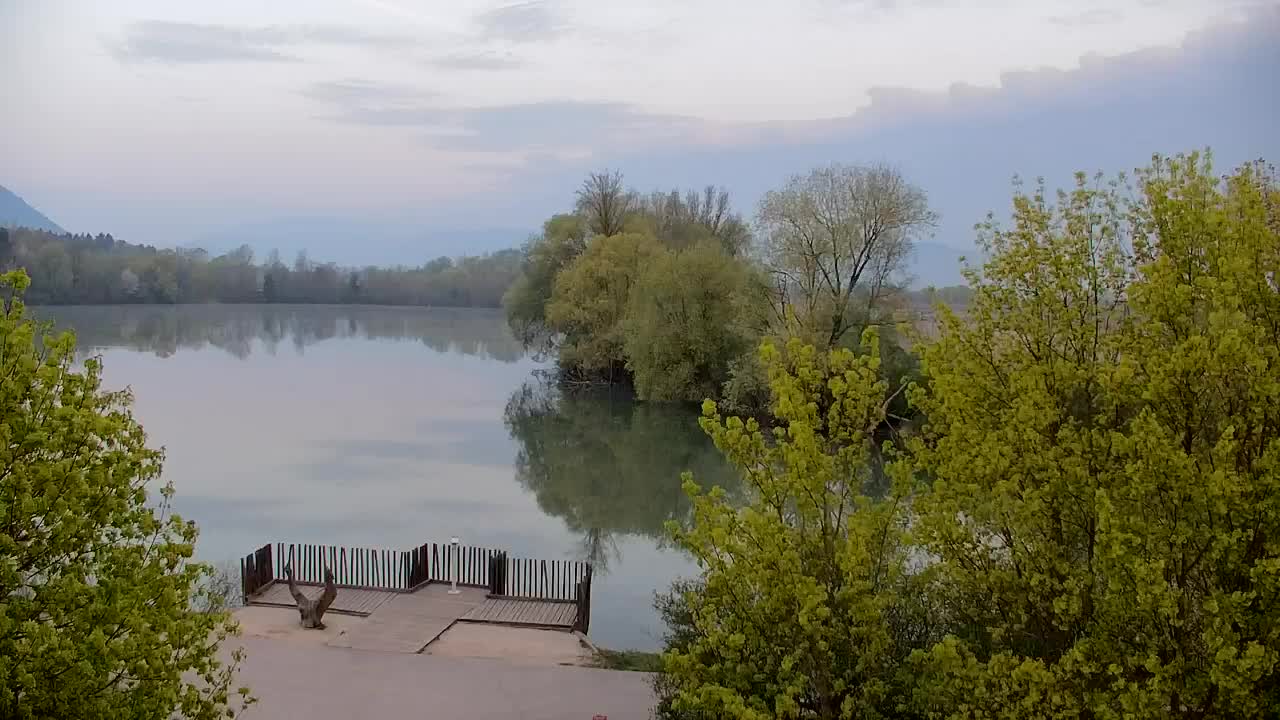 Webcam Ribnik Vrbje – Žalec