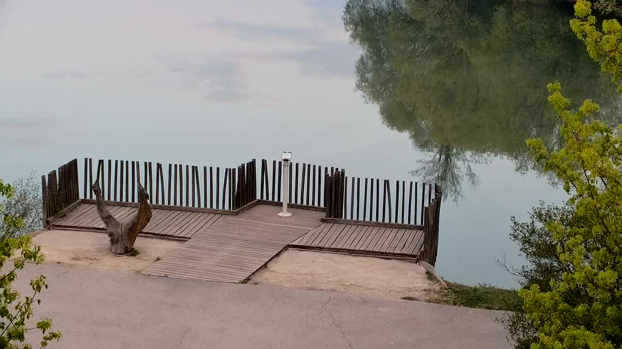 Webcam Ribnik Vrbje – Žalec