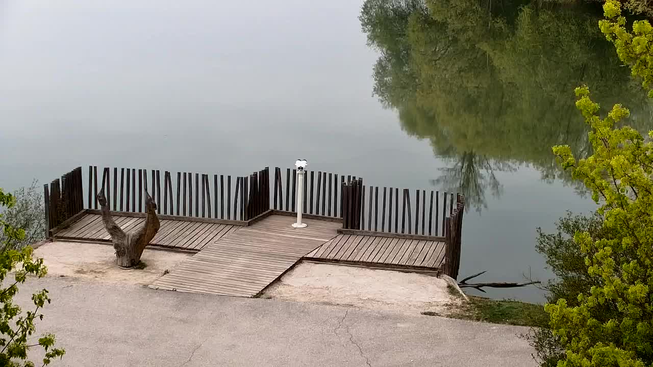 Webcam Ribnik Vrbje – Žalec