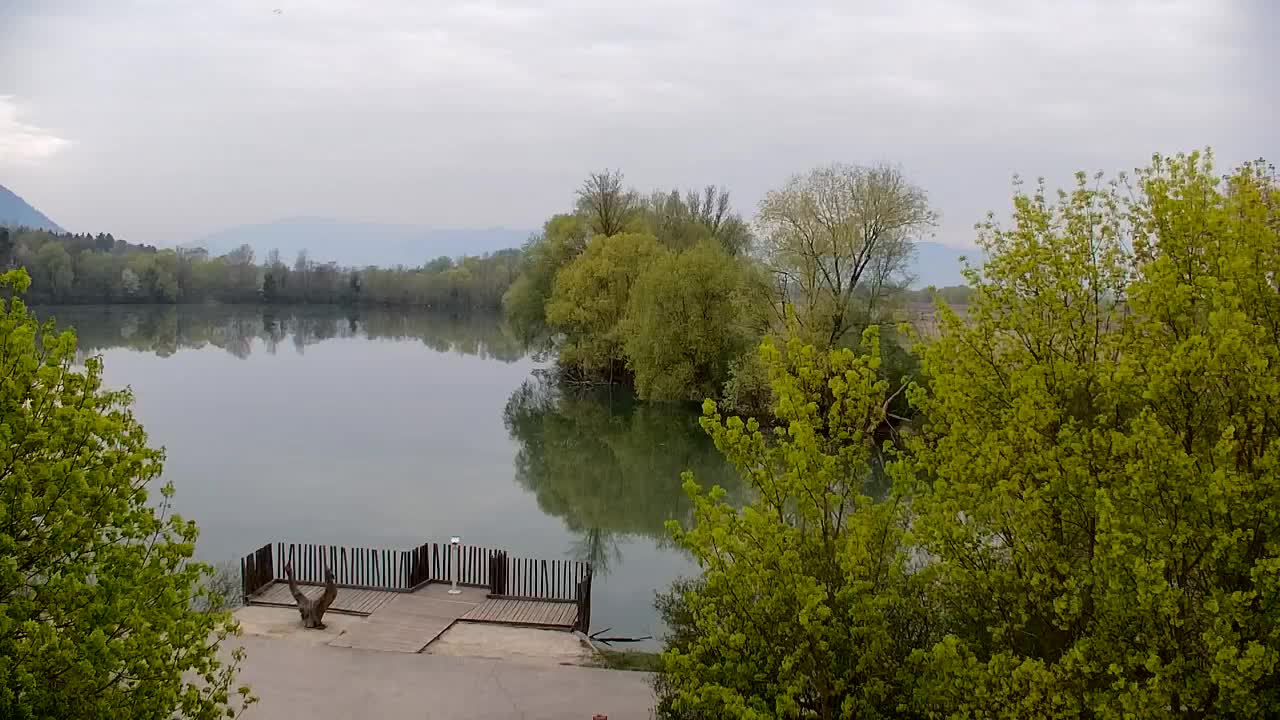 Webcam Ribnik Vrbje – Žalec