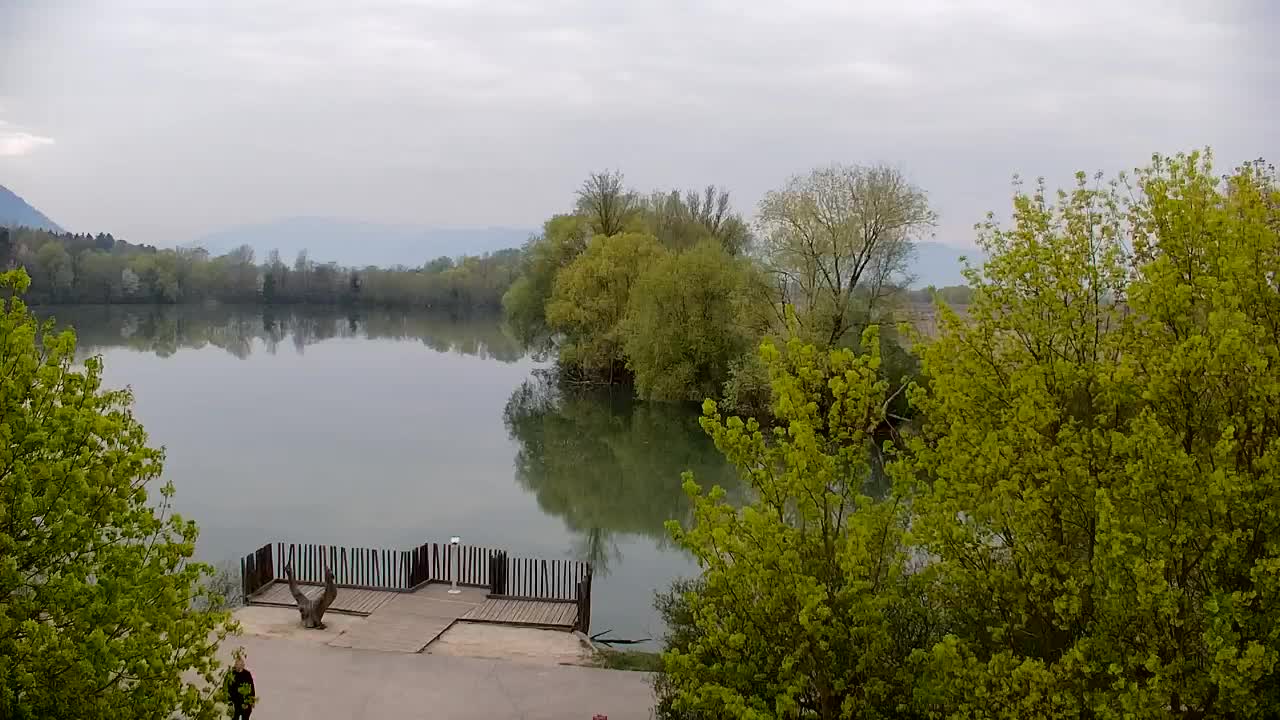 Webcam Ribnik Vrbje – Žalec