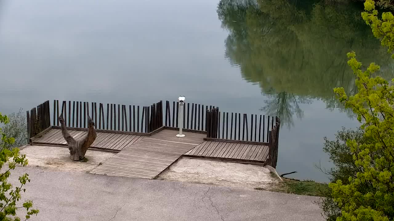 Webcam Ribnik Vrbje – Žalec