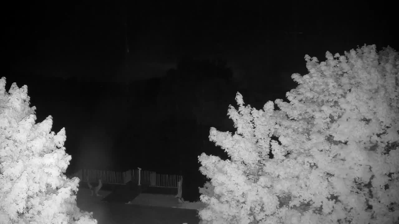 Webcam Ribnik Vrbje – Žalec