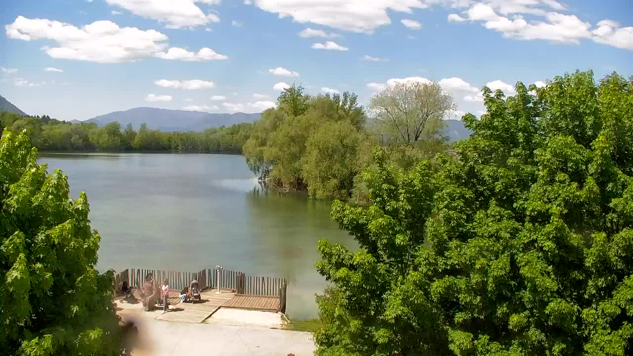 Webcam Ribnik Vrbje – Žalec