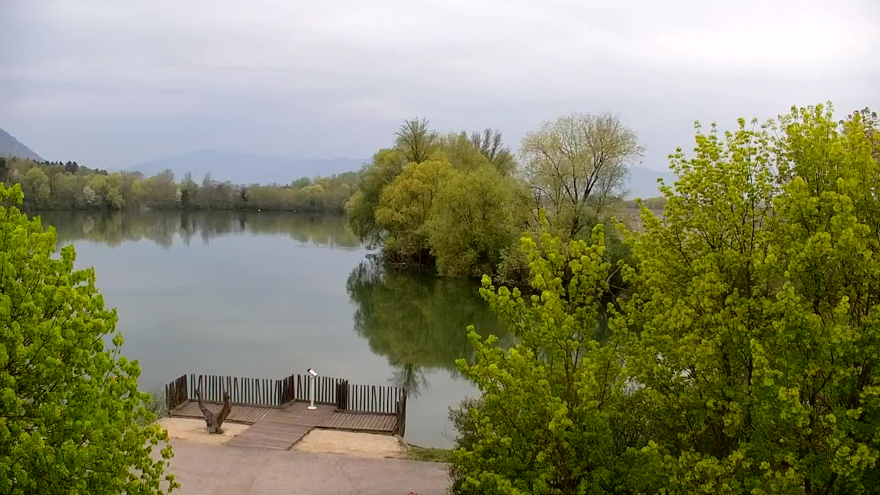 Webcam Ribnik Vrbje – Žalec