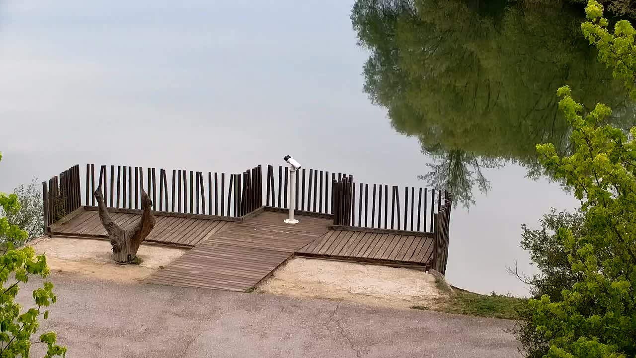 Webcam Ribnik Vrbje – Žalec