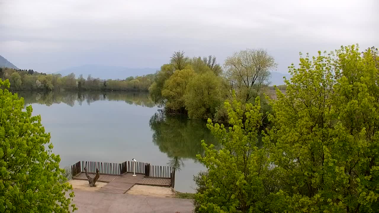 Web kamera Ribnik Vrbje – Žalec