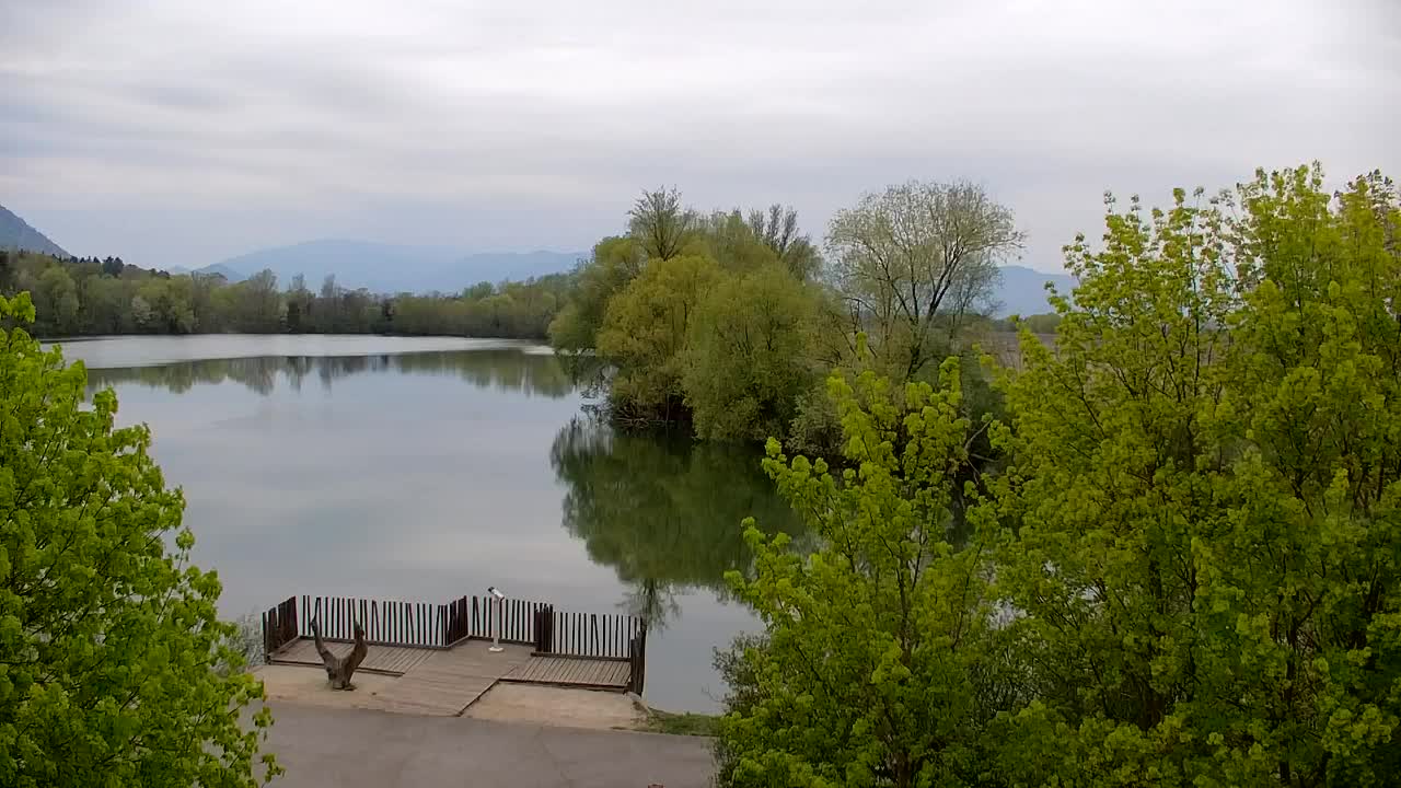 Webcam Ribnik Vrbje – Žalec