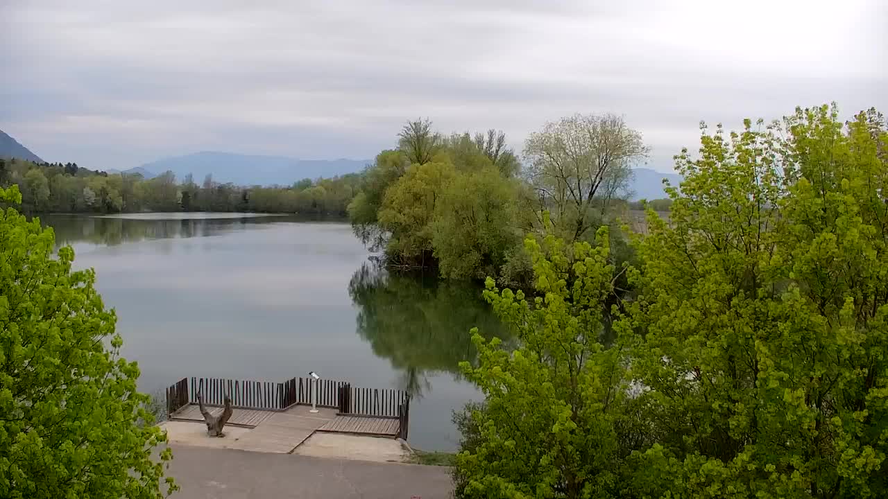 Webcam Ribnik Vrbje – Žalec