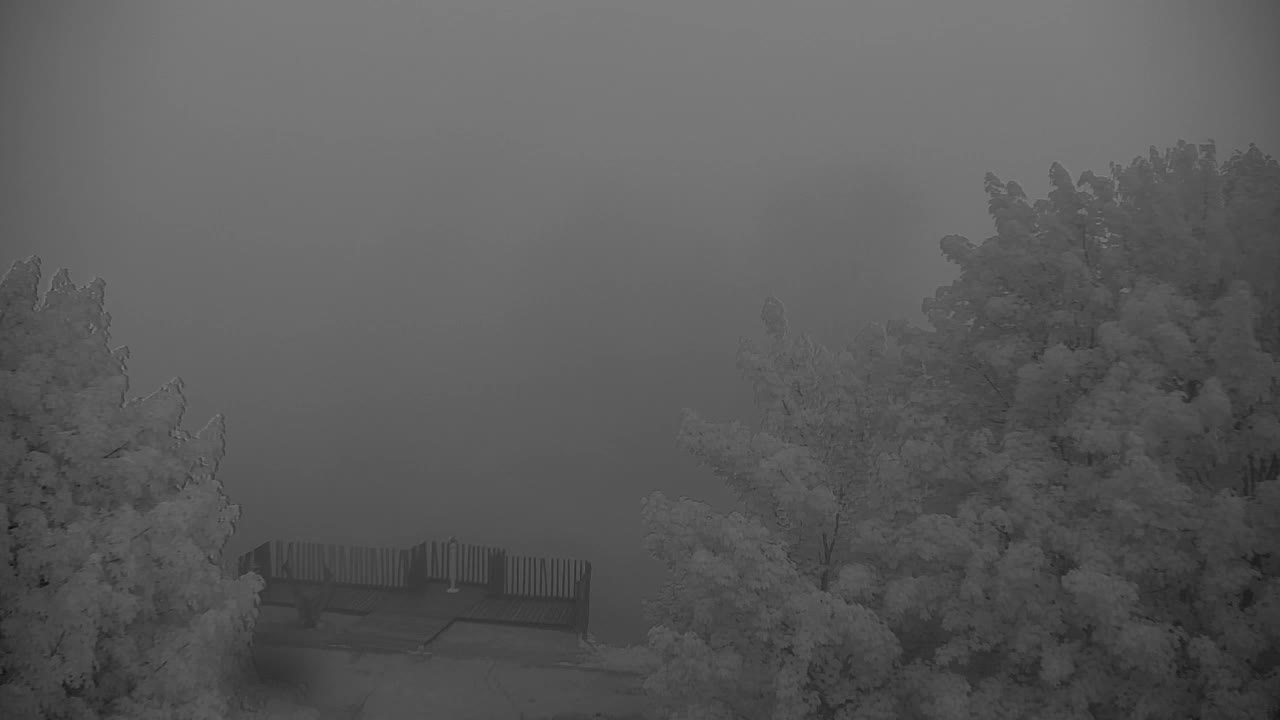 Webcam Ribnik Vrbje – Žalec