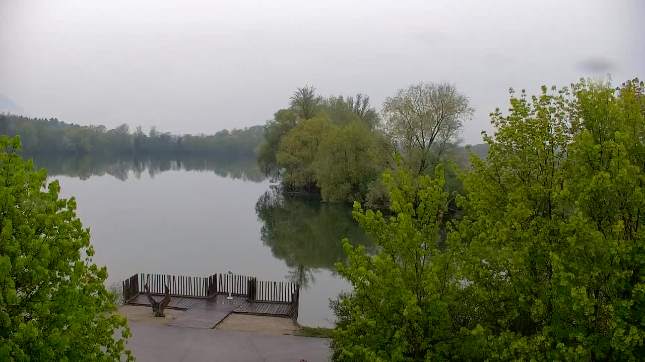 Web kamera Ribnik Vrbje – Žalec