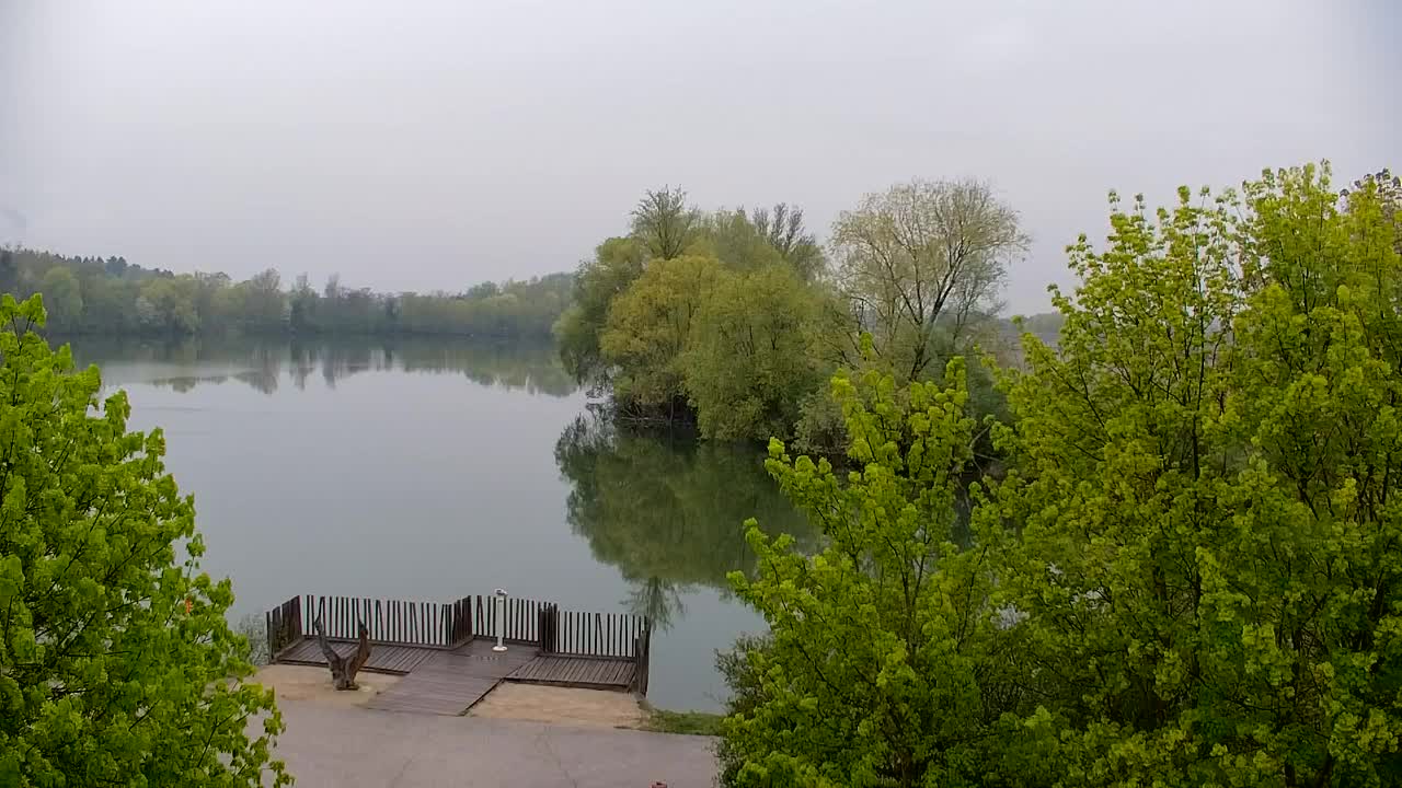 Webcam Ribnik Vrbje – Žalec