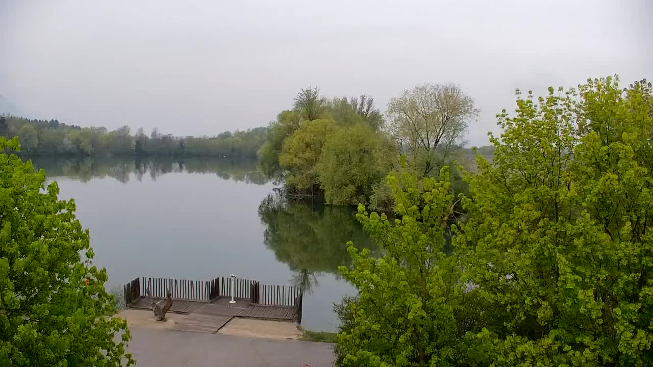 Webcam Ribnik Vrbje – Žalec