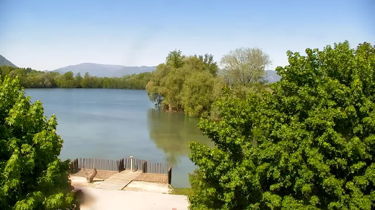 Webcam Ribnik Vrbje – Žalec
