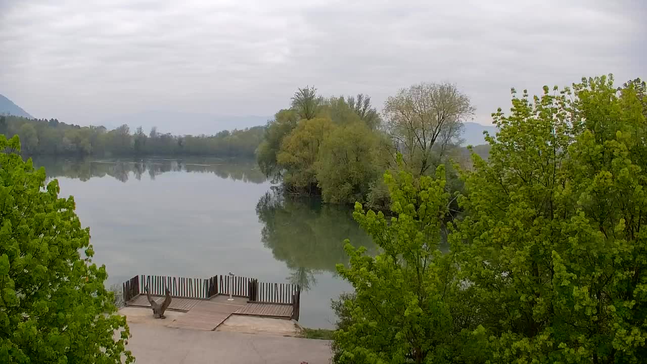 Webcam Ribnik Vrbje – Žalec