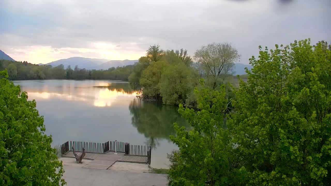 Webcam Ribnik Vrbje – Žalec