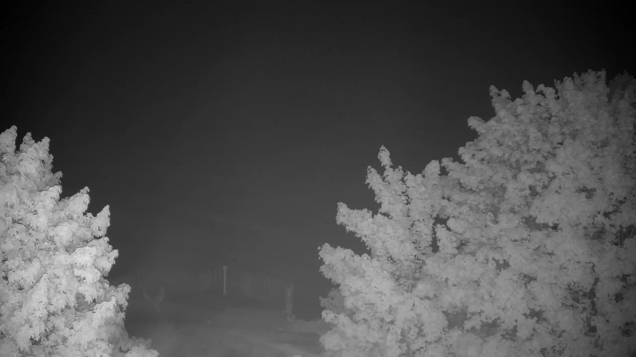 Webcam Ribnik Vrbje – Žalec