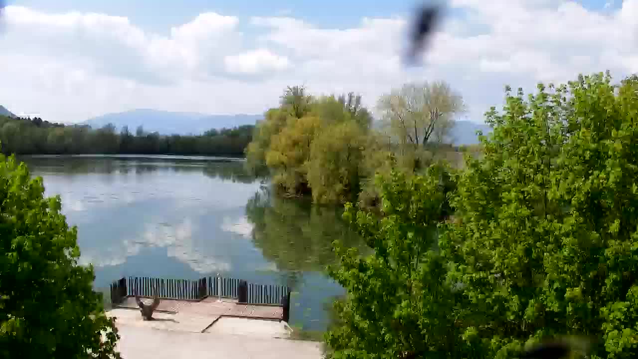 Webcam Ribnik Vrbje – Žalec