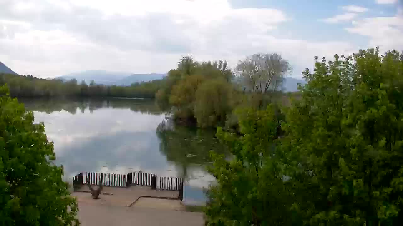 Webcam Ribnik Vrbje – Žalec