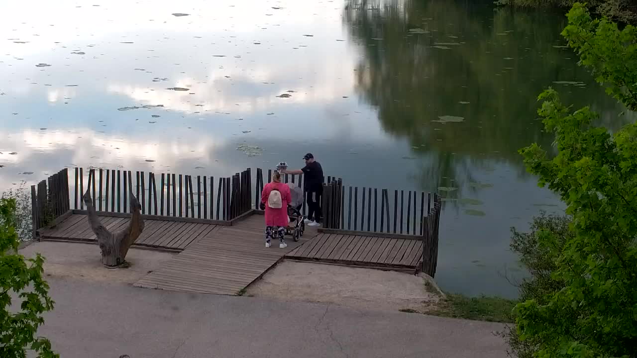 Webcam Ribnik Vrbje – Žalec