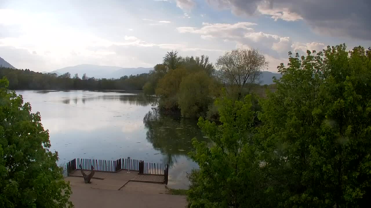 Webcam Ribnik Vrbje – Žalec