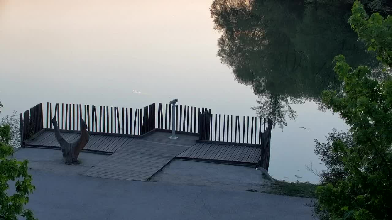 Spletna kamera Ribnik Vrbje – Žalec