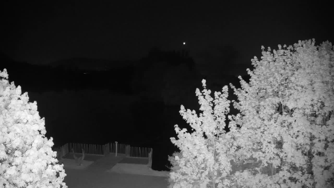 Webcam Ribnik Vrbje – Žalec