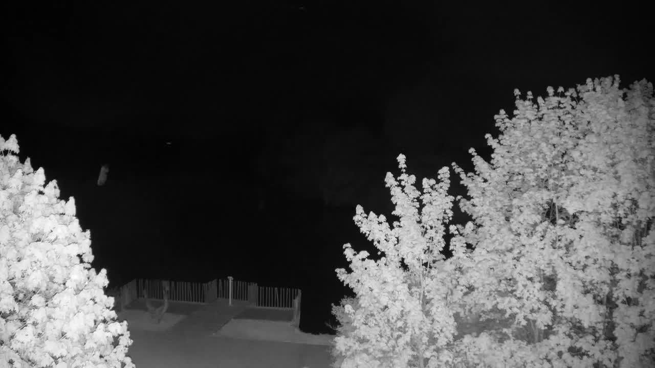 Webcam Ribnik Vrbje – Žalec