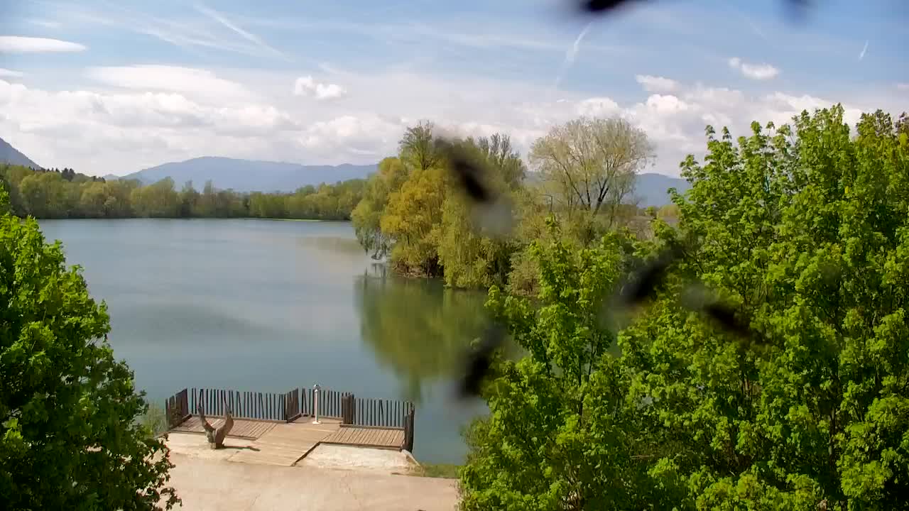 Webcam Ribnik Vrbje – Žalec