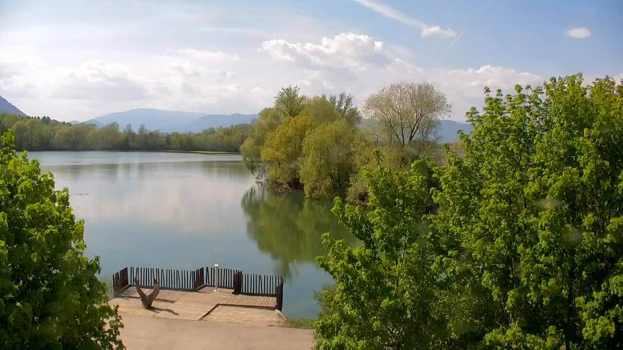 Webcam Ribnik Vrbje – Žalec