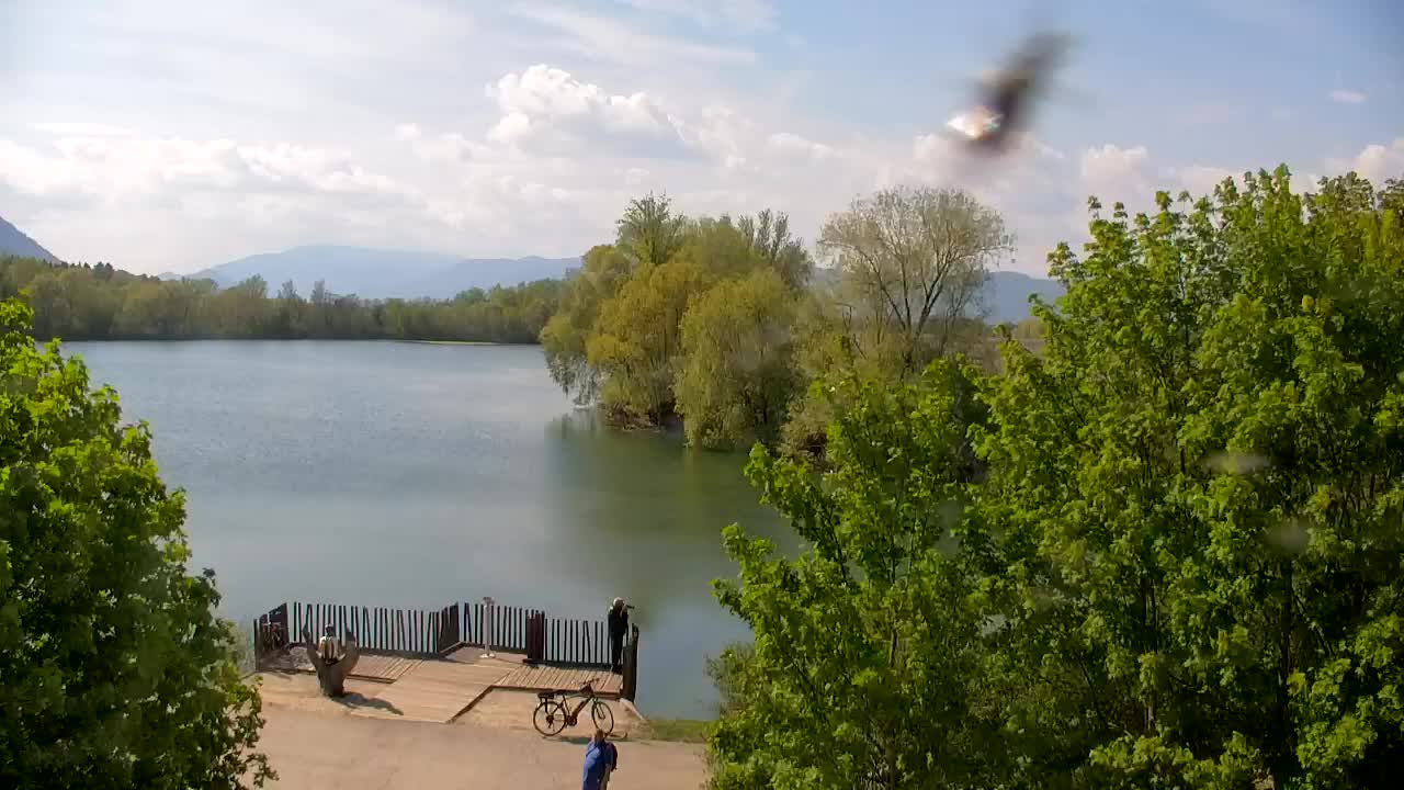 Webcam Ribnik Vrbje – Žalec