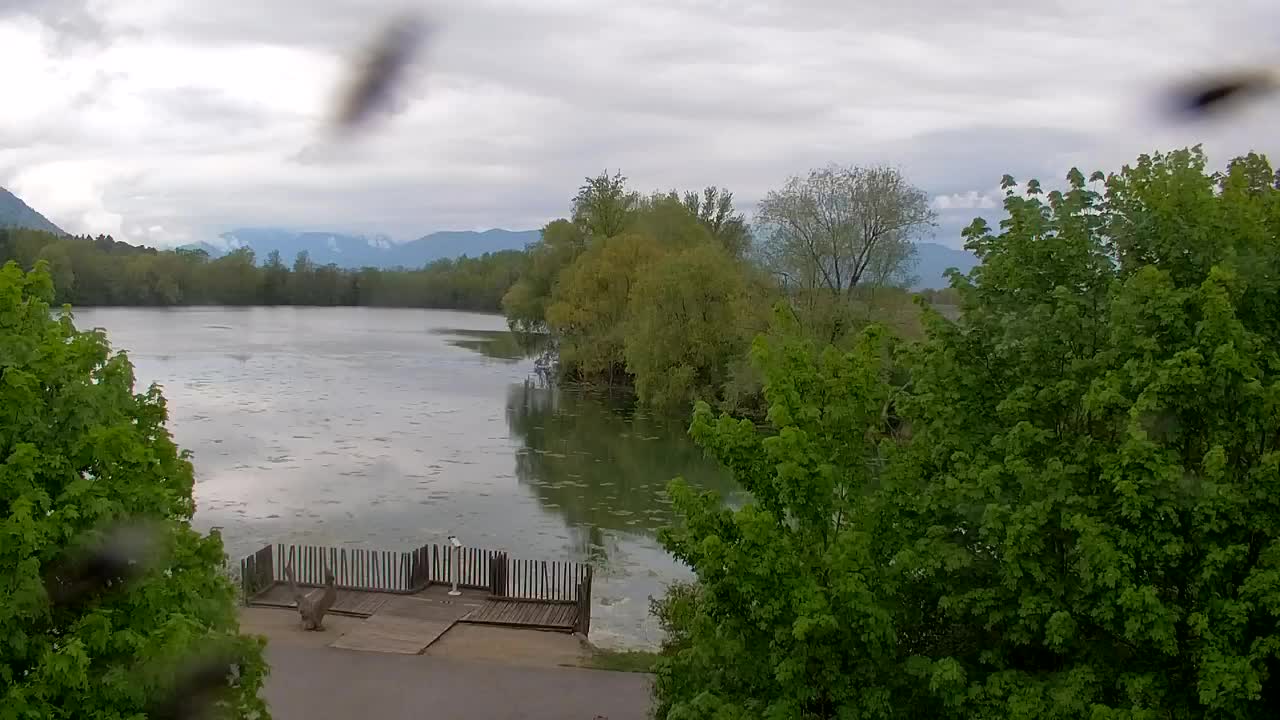 Webcam Ribnik Vrbje – Žalec