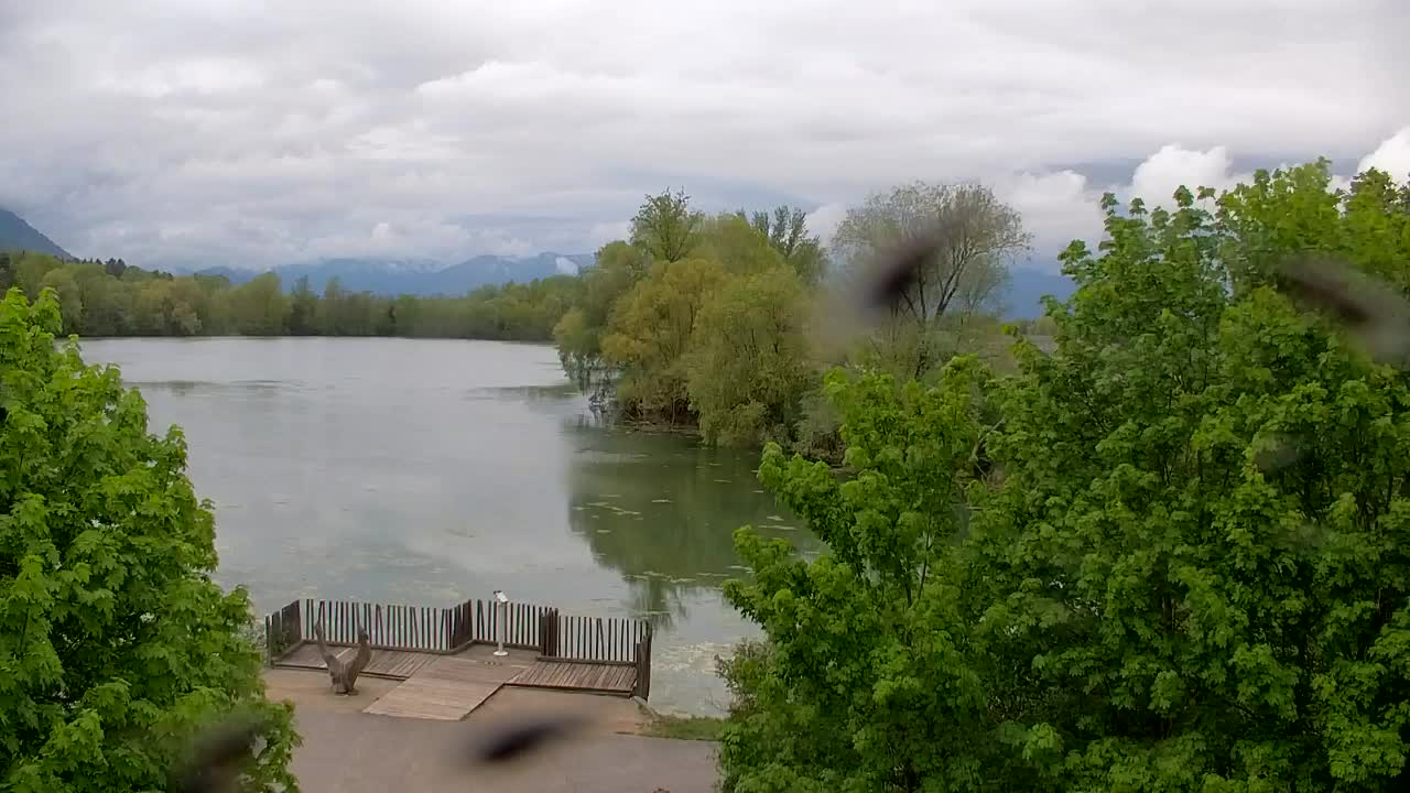 Webcam Ribnik Vrbje – Žalec