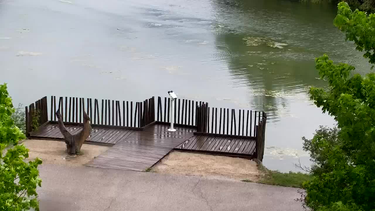 Webcam Ribnik Vrbje – Žalec