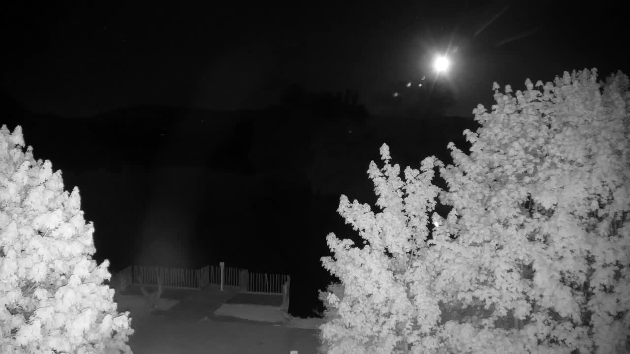 Web kamera Ribnik Vrbje – Žalec