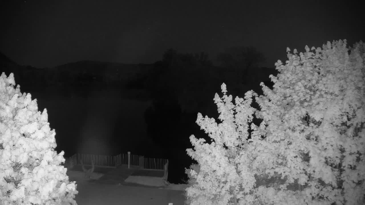 Web kamera Ribnik Vrbje – Žalec