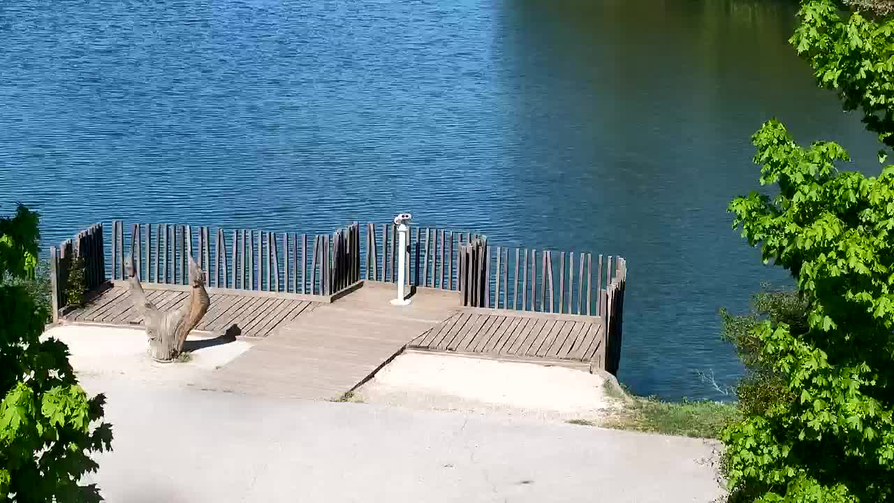 Webcam Ribnik Vrbje – Žalec