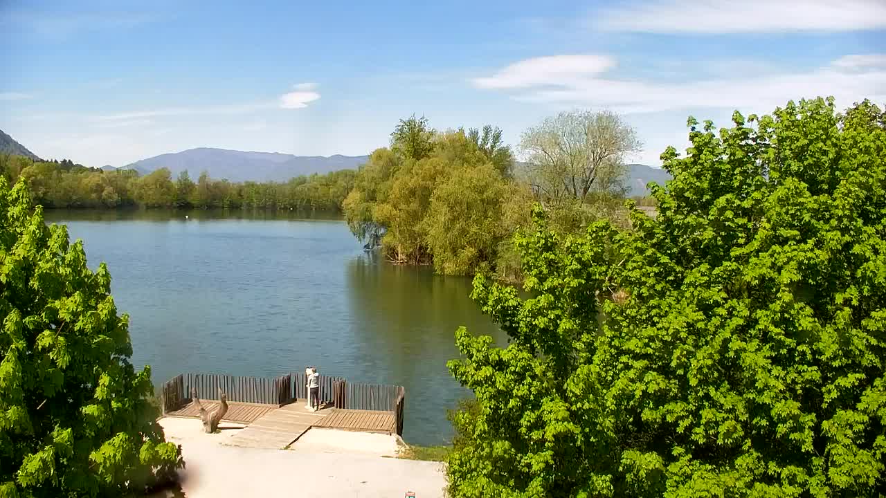 Webcam Ribnik Vrbje – Žalec