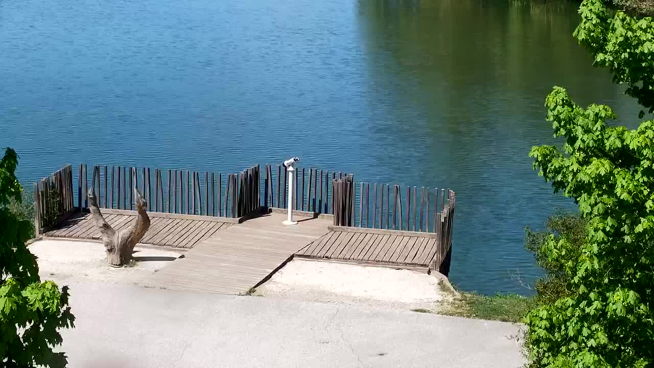 Webcam Ribnik Vrbje – Žalec