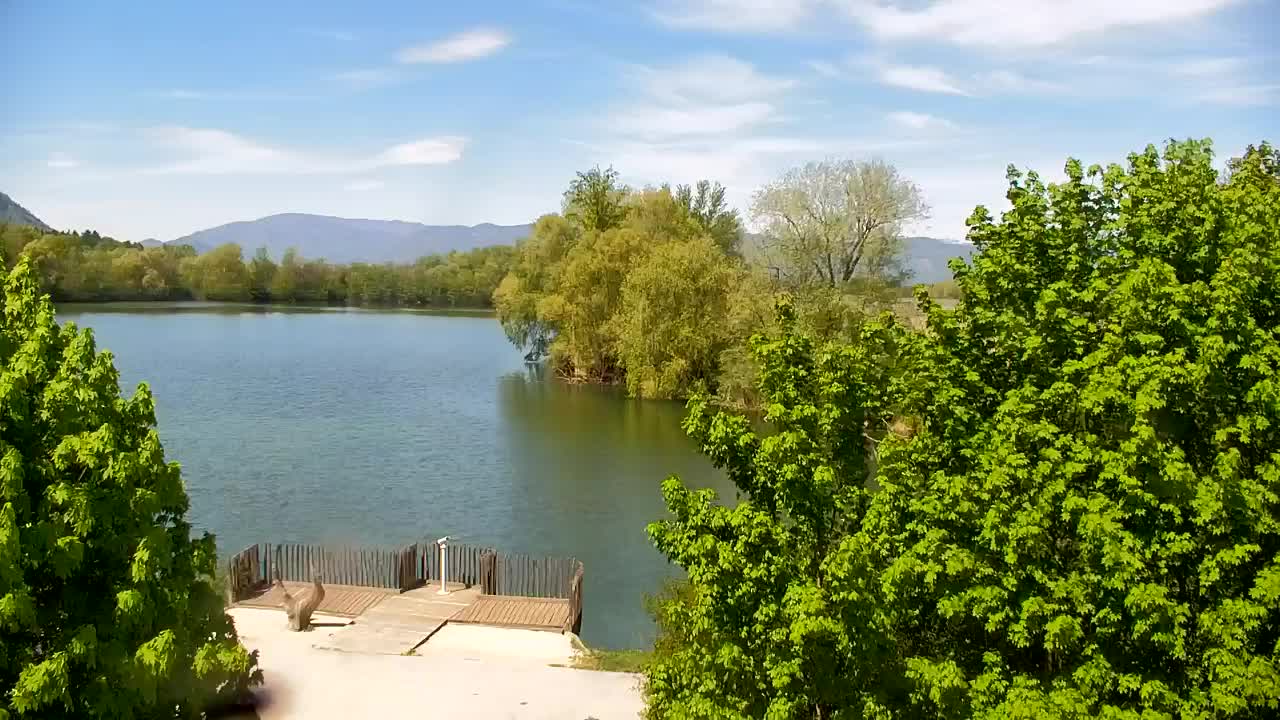 Webcam Ribnik Vrbje – Žalec