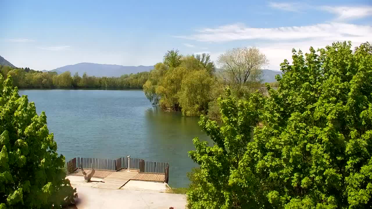 Webcam Ribnik Vrbje – Žalec