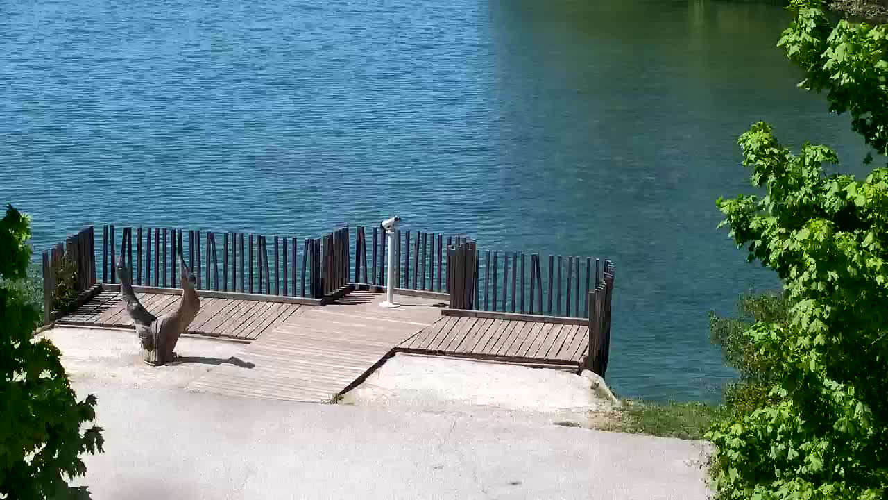 Webcam Ribnik Vrbje – Žalec