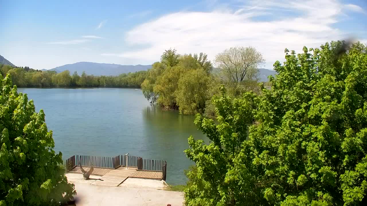 Webcam Ribnik Vrbje – Žalec