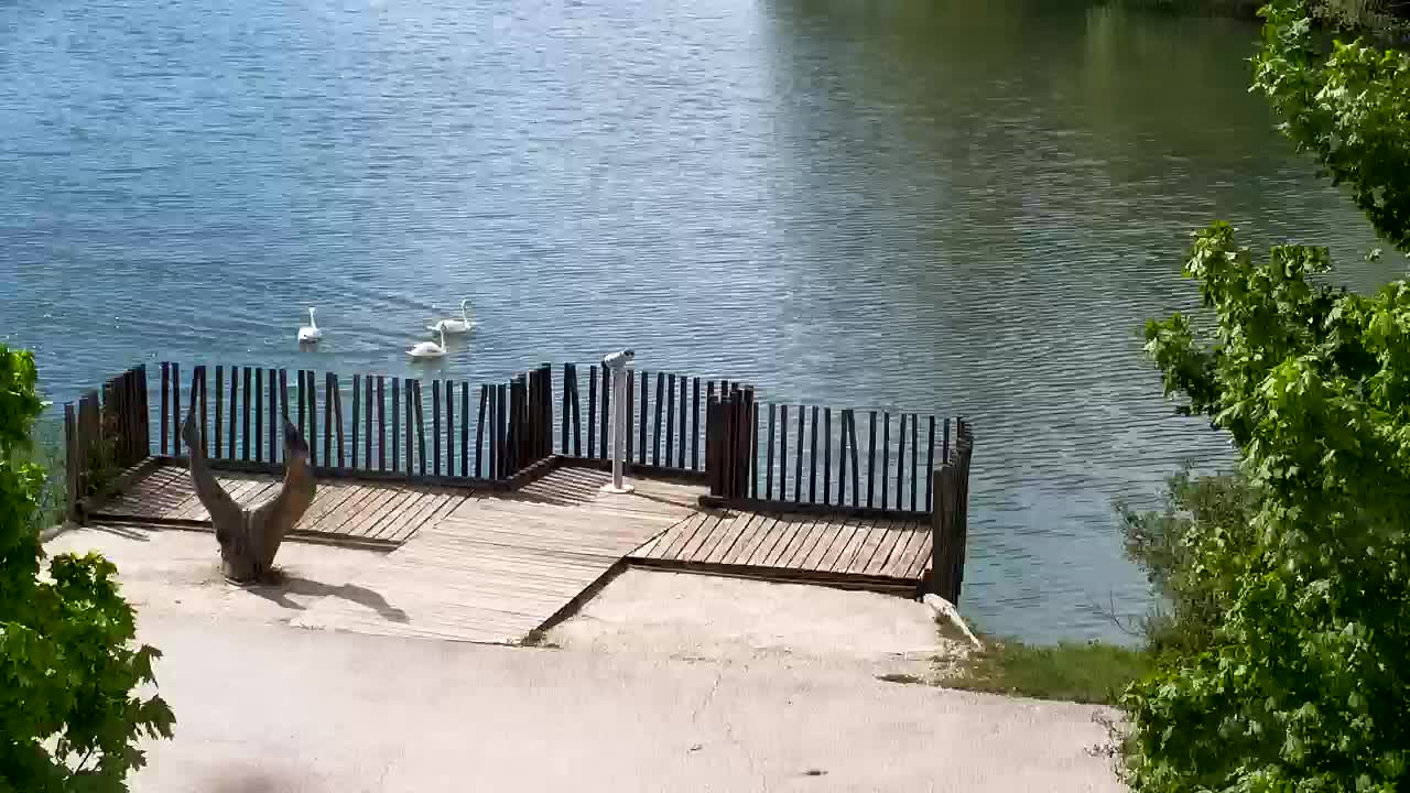 Webcam Ribnik Vrbje – Žalec