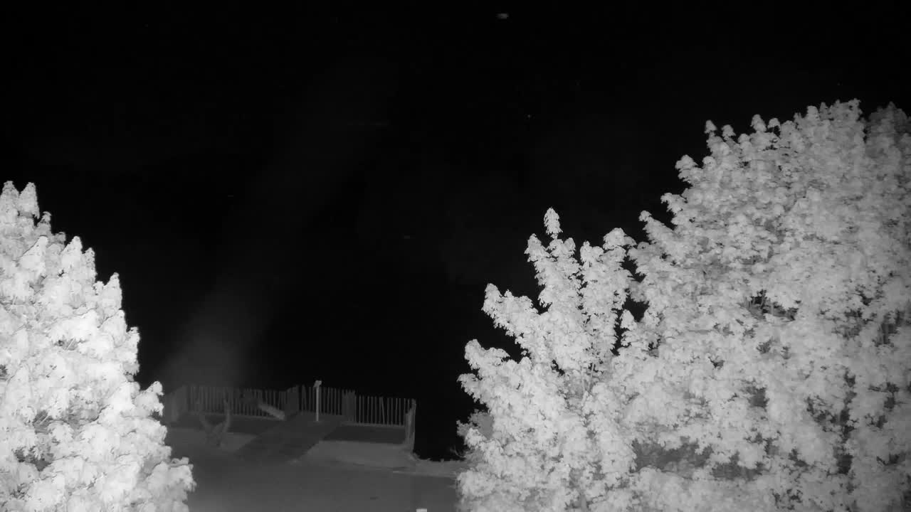 Webcam Ribnik Vrbje – Žalec